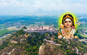 Muthamizh Murugan Maanadu 2024: Celebrating the Divine Glory of Lord Murugan at Palani