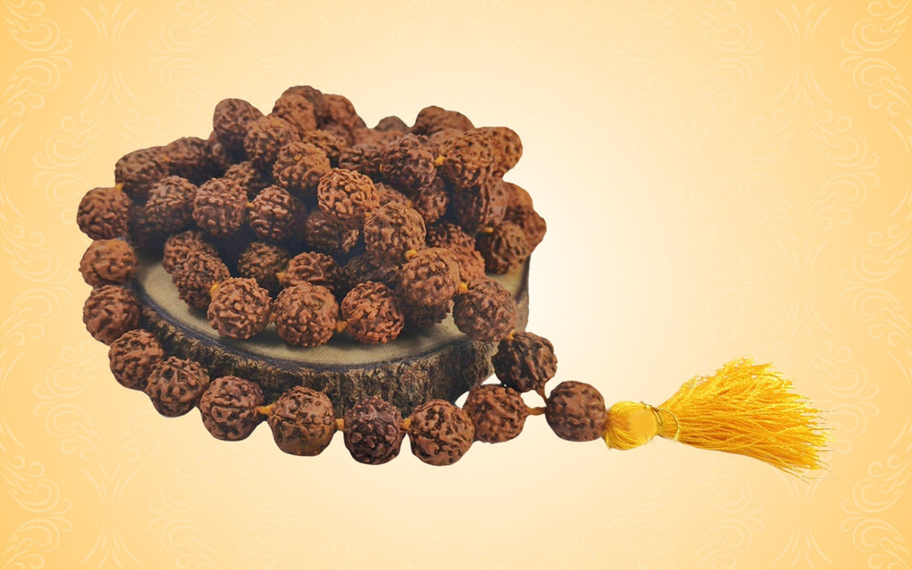 Are You Wearing the Right Rudraksha? The Ultimate 2 to 6 Mukhi Rudraksha Guide!