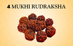 4 Mukhi Rudraksha: Unlocking Knowledge and Creativity