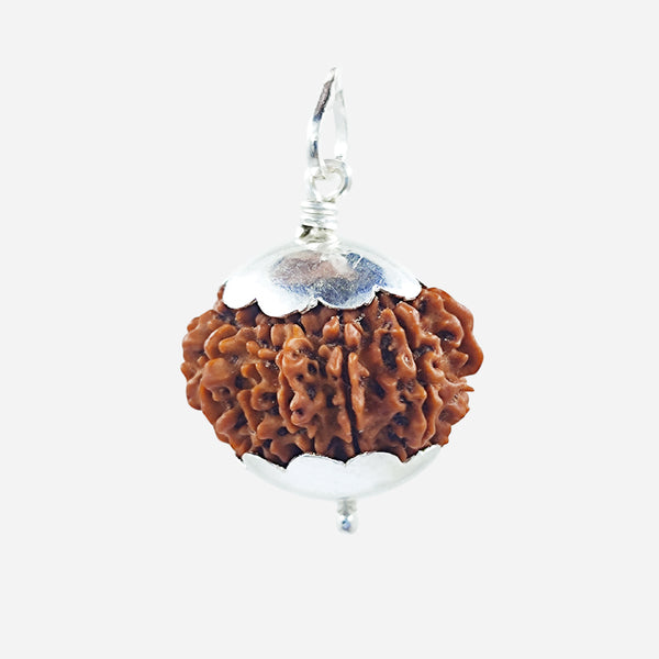 12 Face Rudraksha Bead