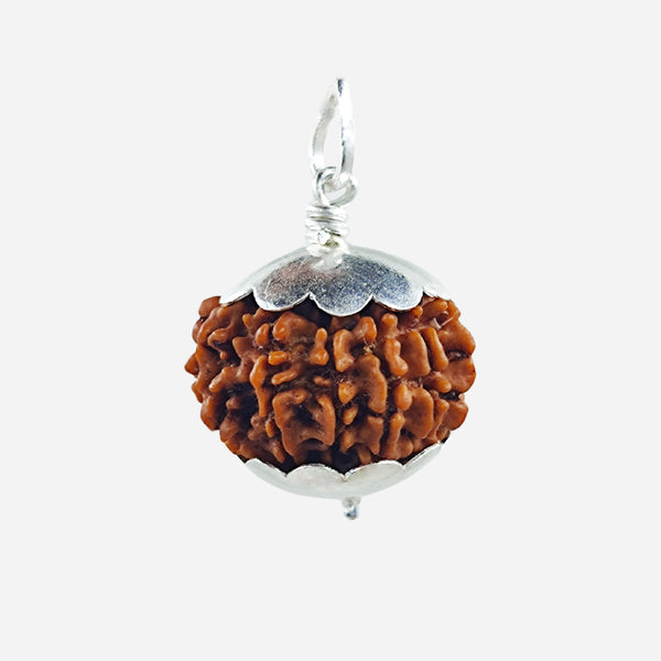 8 Face Rudraksha Bead